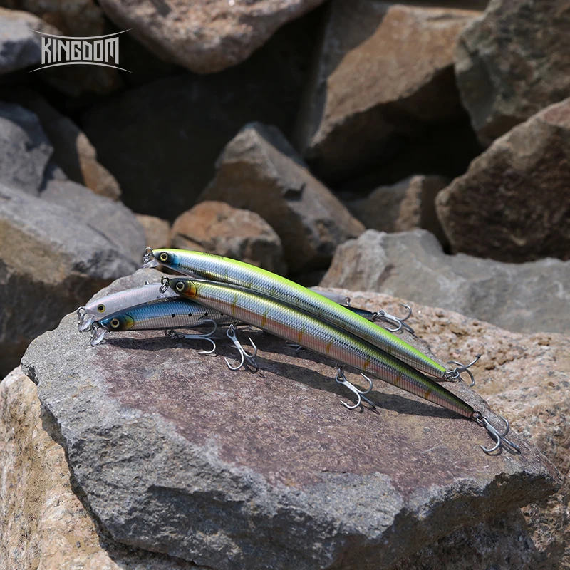 Kingdom Long Casting Fishing L - огляд і ціна Fishing Lure Jerkbait