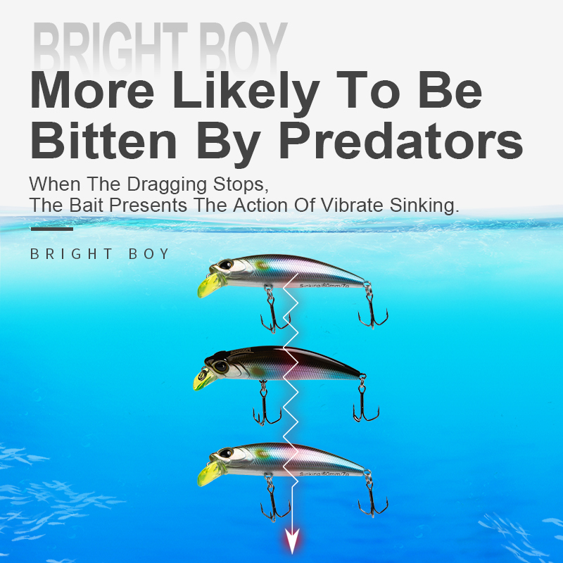 Kingdom Sinking Minnow Fishing - огляд і ціна Fishing Lure Crankbait